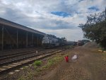 RUMO 8299